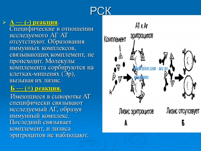 РСК А — (-) реакция. Специфические в отношении исследуемого АГ AT отсутствуют. Образования иммунных